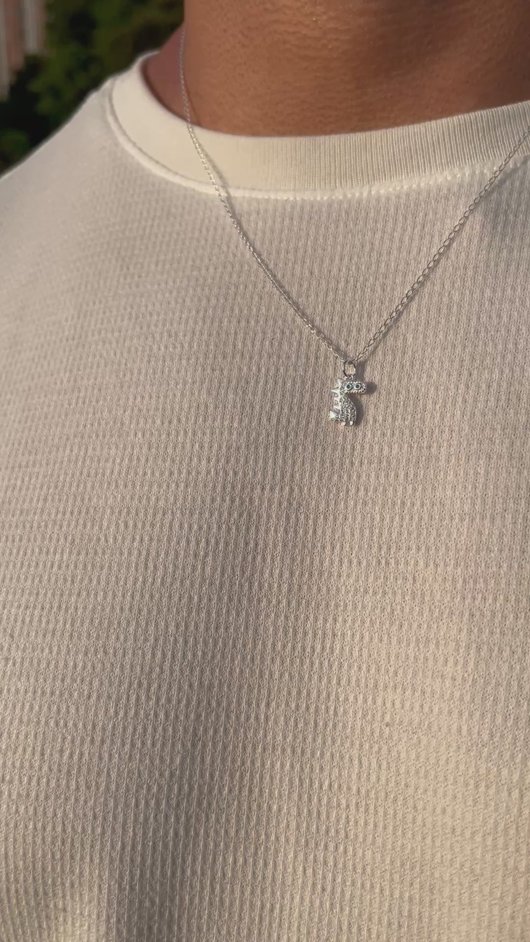 Cadena Minimal Dino